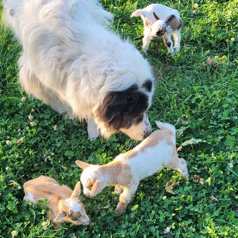 MEET MY KIDS! - Picture 5 of 10
